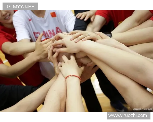 武汉排球队在冠军赛中的团队协作展现出卓越实力与默契配合